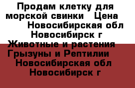 Продам клетку для морской свинки › Цена ­ 700 - Новосибирская обл., Новосибирск г. Животные и растения » Грызуны и Рептилии   . Новосибирская обл.,Новосибирск г.